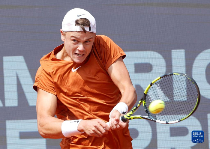 迷关注的焦 迷关注的焦